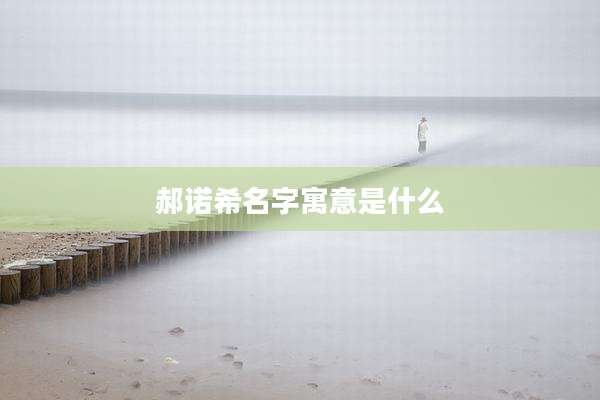 郝诺希名字寓意是什么