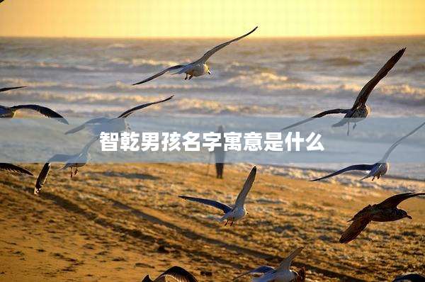 智乾男孩名字寓意是什么