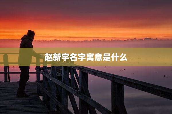 赵新宇名字寓意是什么