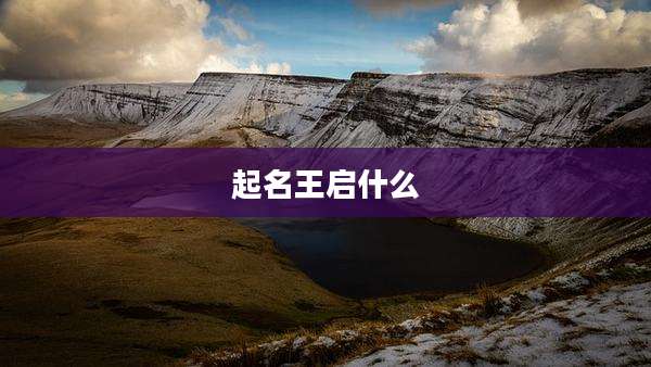起名王启什么