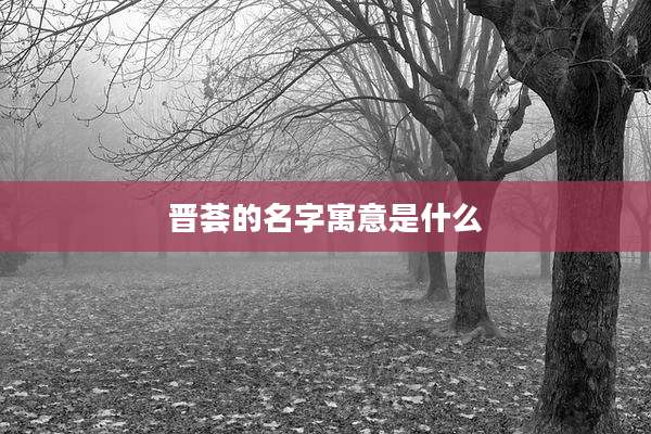 晋荟的名字寓意是什么