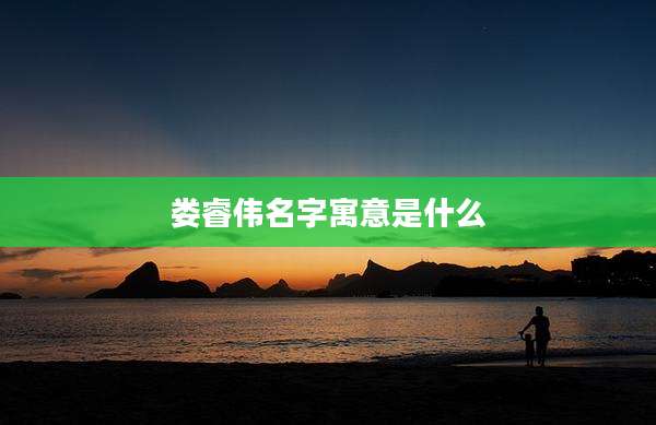 娄睿伟名字寓意是什么