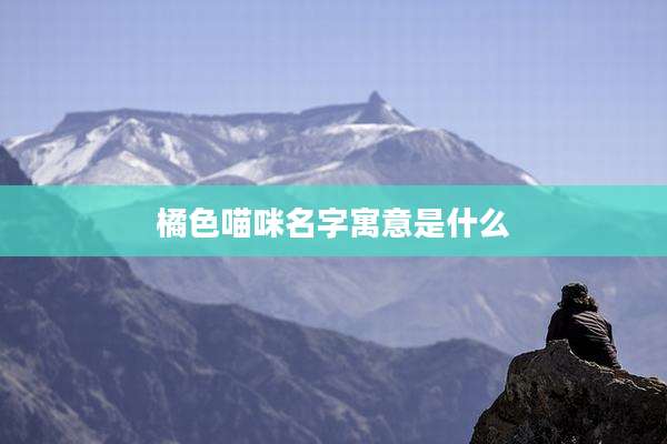 橘色喵咪名字寓意是什么