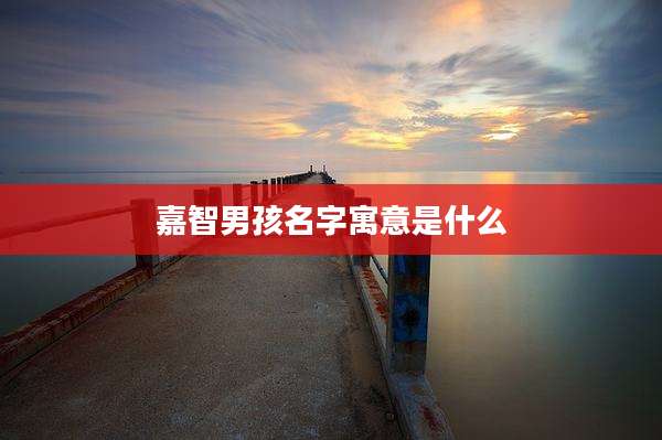 嘉智男孩名字寓意是什么