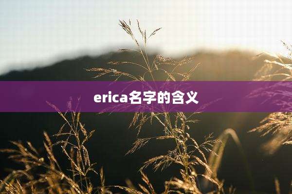 erica名字的含义