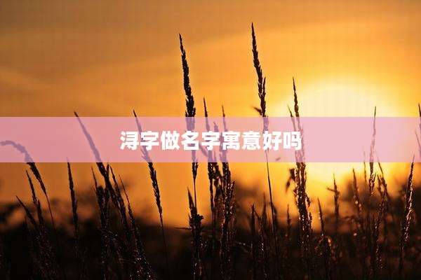 浔字做名字寓意好吗