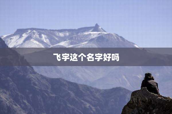 飞宇这个名字好吗