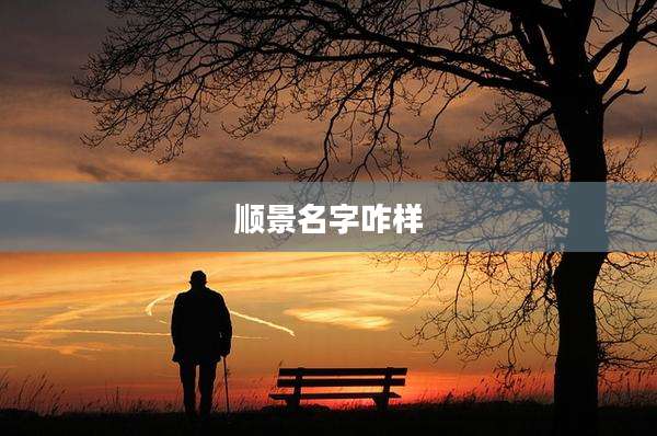 顺景名字咋样
