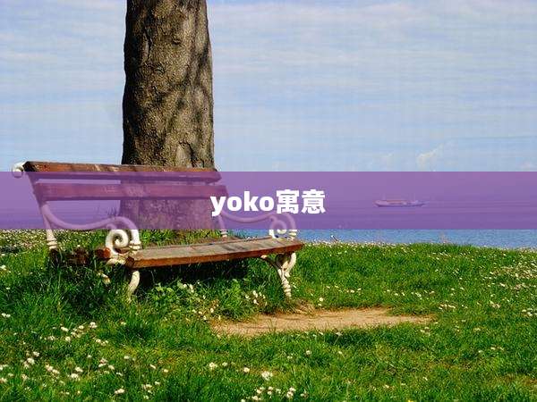 yoko寓意
