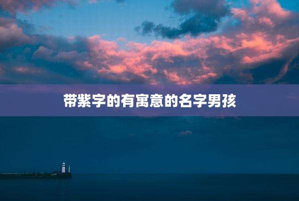 带紫字的有寓意的名字男孩