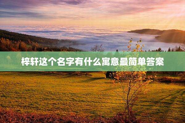 梓轩这个名字有什么寓意最简单答案