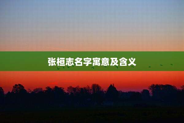 张桓志名字寓意及含义