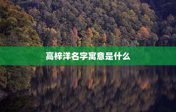 高梓洋名字寓意是什么