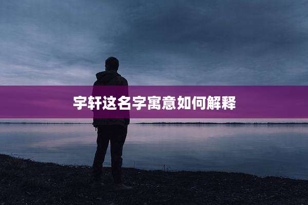 宇轩这名字寓意如何解释
