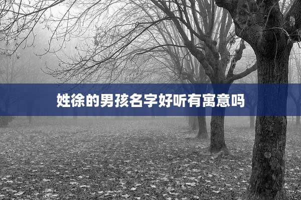 姓徐的男孩名字好听有寓意吗