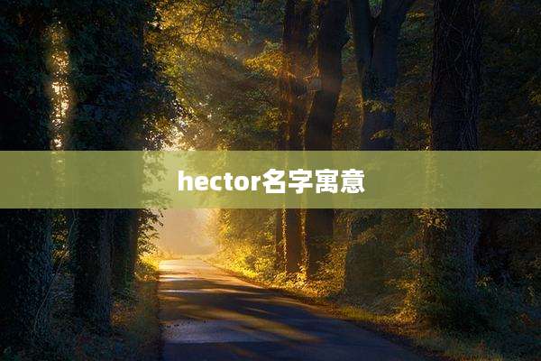 hector名字寓意