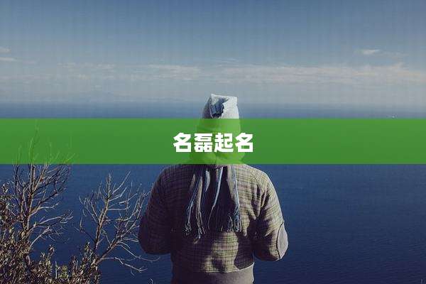 名磊起名