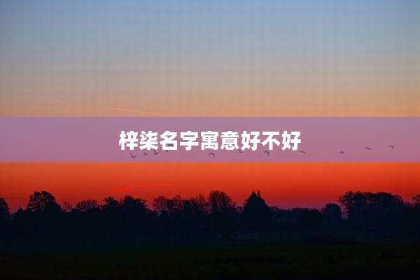 梓柒名字寓意好不好