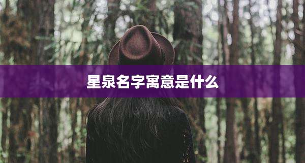 星泉名字寓意是什么