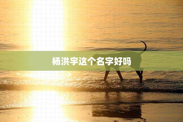 杨洪宇这个名字好吗