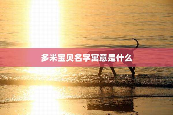 多米宝贝名字寓意是什么