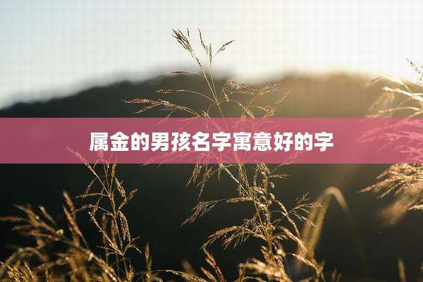 属金的男孩名字寓意好的字