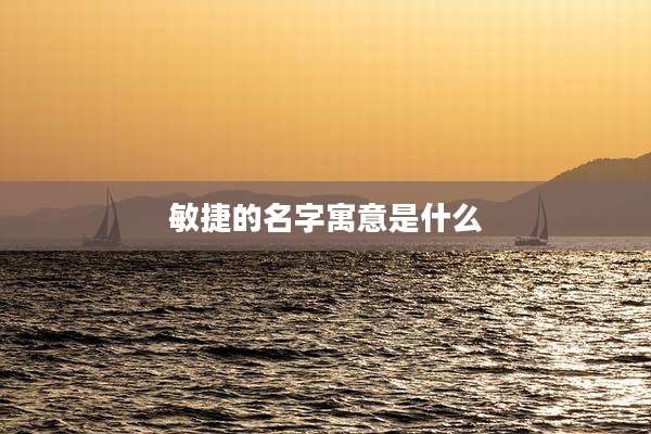 敏捷的名字寓意是什么