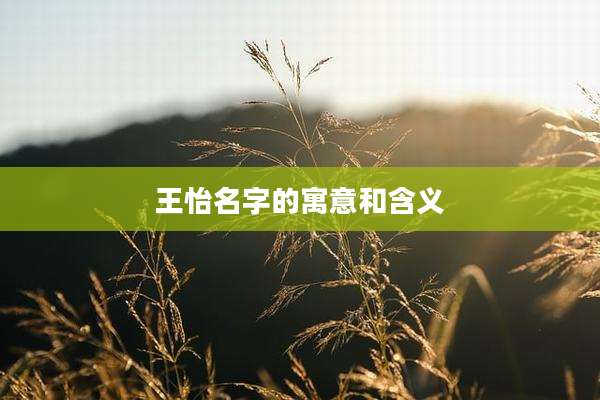 王怡名字的寓意和含义