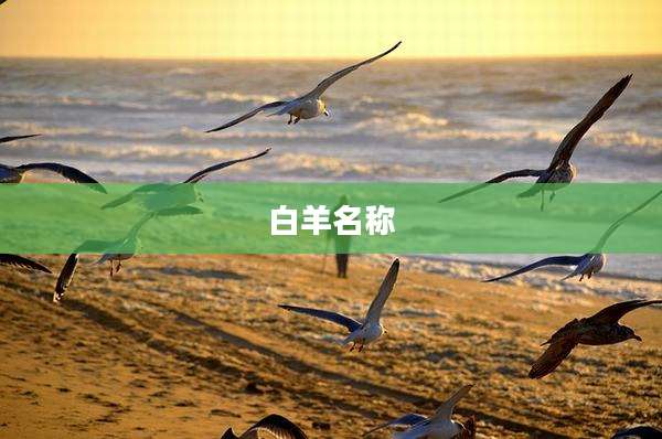 白羊名称
