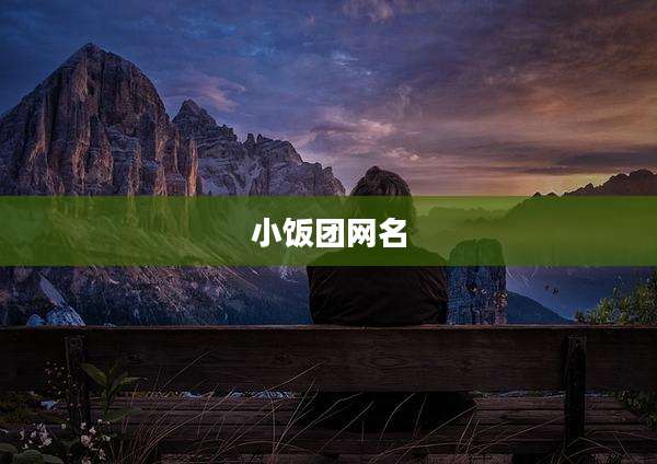 小饭团网名