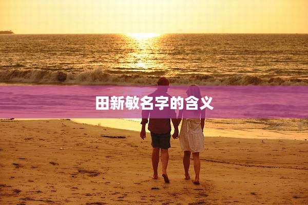 田新敏名字的含义