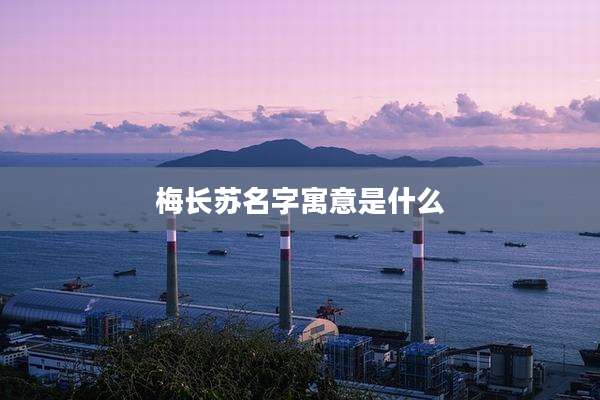 梅长苏名字寓意是什么