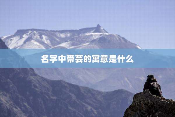 名字中带芸的寓意是什么