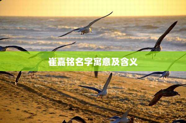 崔嘉铭名字寓意及含义