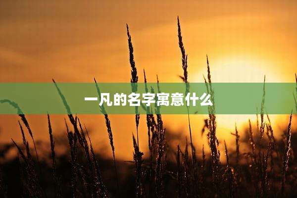 一凡的名字寓意什么