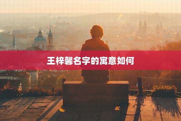 王梓馨名字的寓意如何