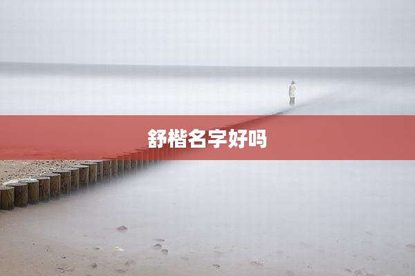舒楷名字好吗