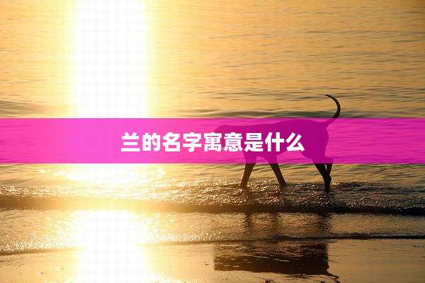 兰的名字寓意是什么