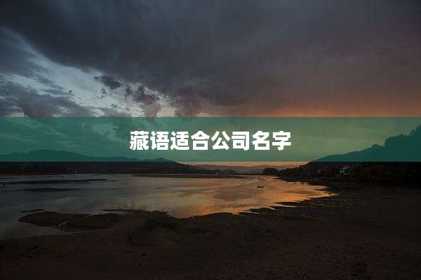 藏语适合公司名字