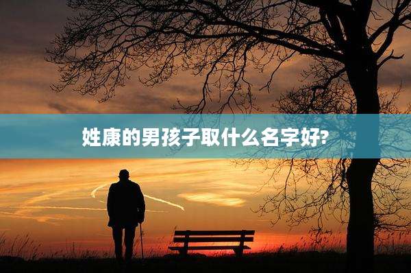 姓康的男孩子取什么名字好?