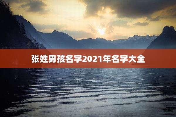 张姓男孩名字2021年名字大全