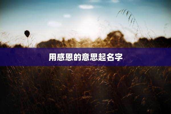 用感恩的意思起名字