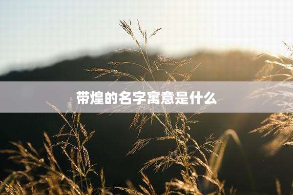 带煌的名字寓意是什么