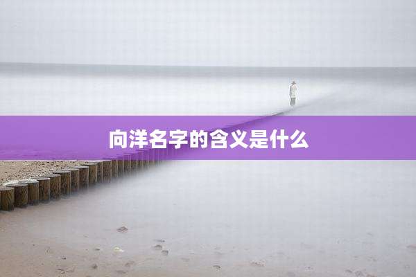 向洋名字的含义是什么