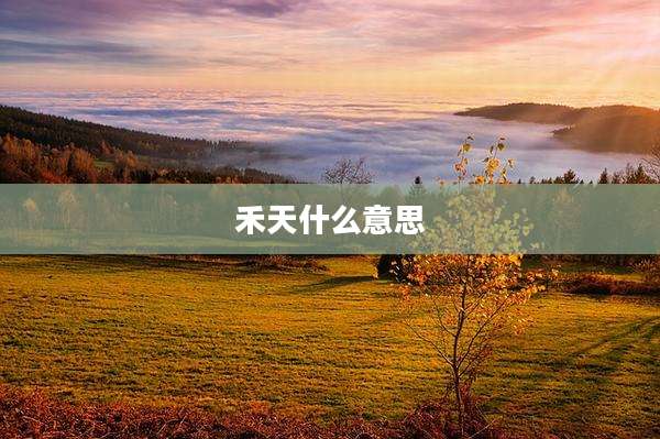 禾天什么意思