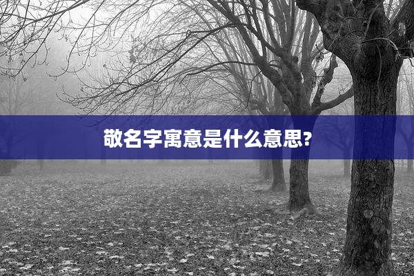 敬名字寓意是什么意思?