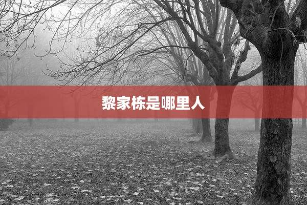 黎家栋是哪里人