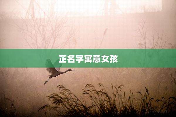 芷名字寓意女孩