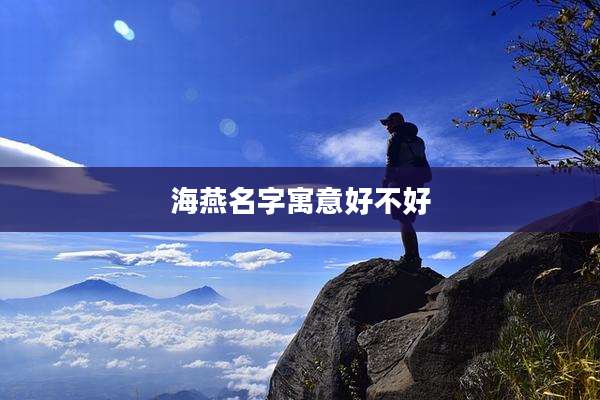 海燕名字寓意好不好