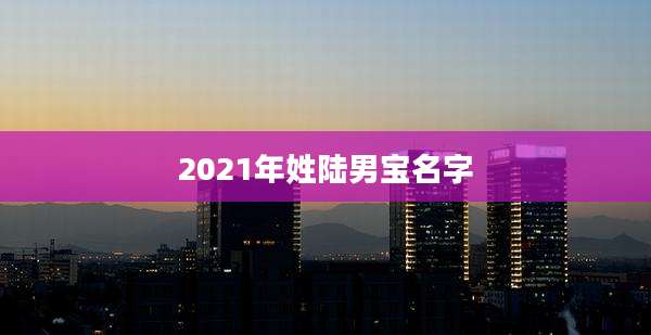 2021年姓陆男宝名字